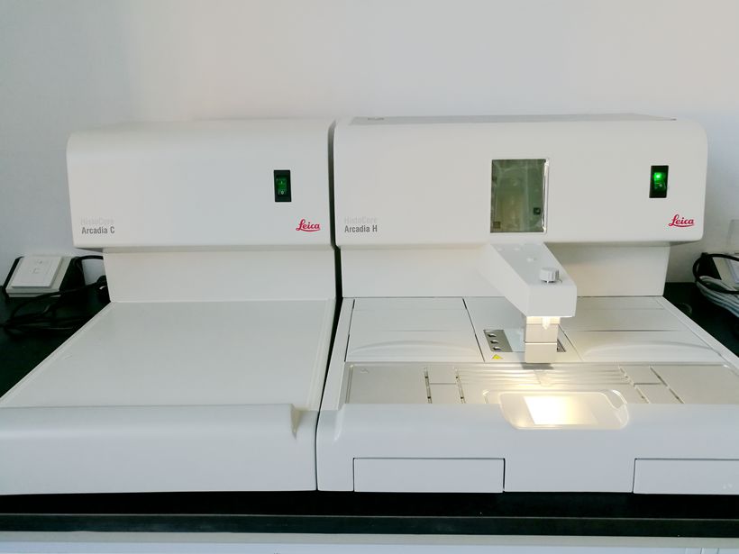 全自动脱水机1台,包埋机及摊片机各1台,德国徕卡石蜡切片机1台,全自动